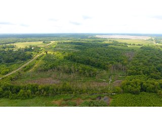 TRACT 43 - ILLINOIS LAND AUCTION - 4,810+/- ACRES OFFERED IN 85 TRACTS IN FRANKLIN, WILLIAMSON, HAMILTON & SALINE COUNTIES, ILLINOIS